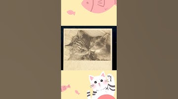 What Lovely Kittens！#engravingmachine #engraving #kittens #lovelycats #cutecat #laser #engraver