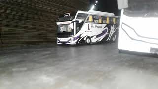 Perang telolet bus po haryanto vs sinar Jaya