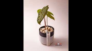 Self-watering pot. Not Of this World. 3D Printed on Demand