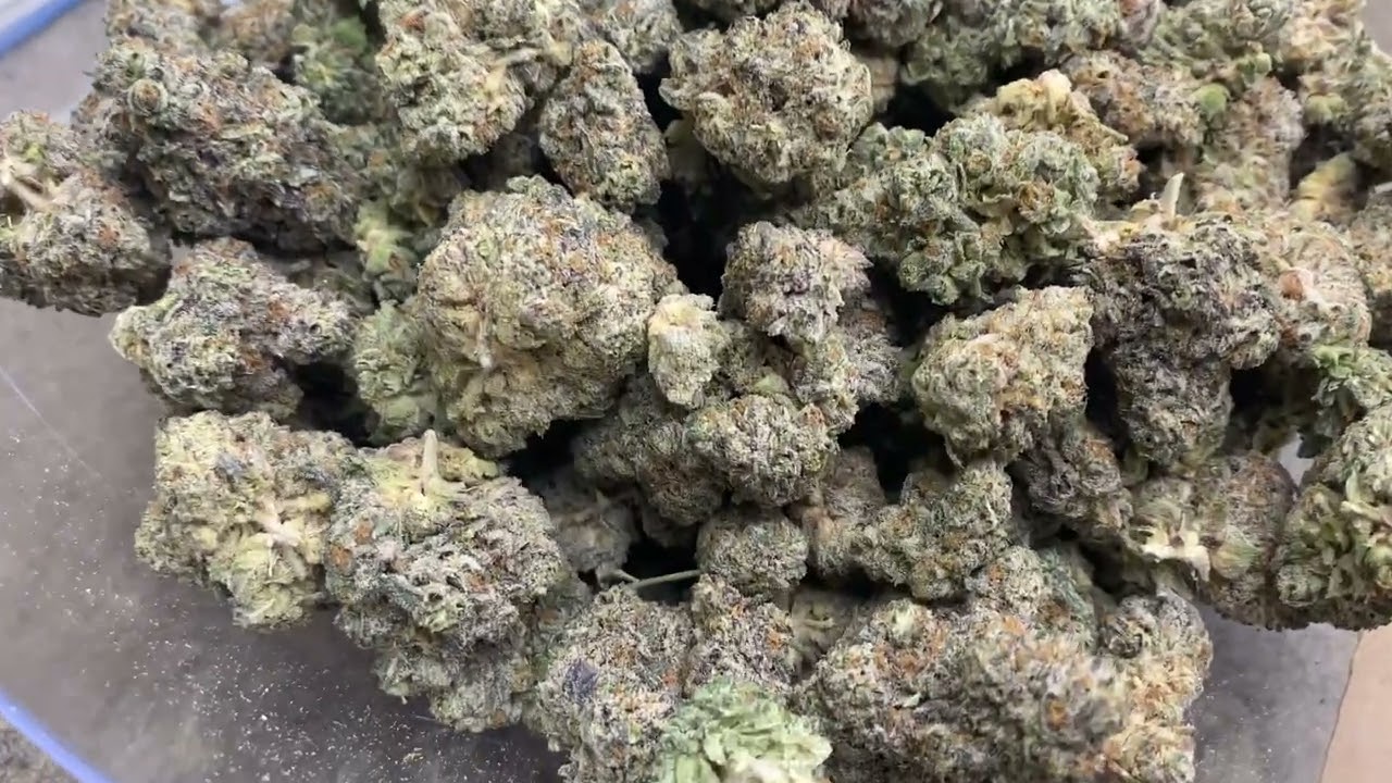 Wholesale THCa Flower Strain: Cookies & Cream