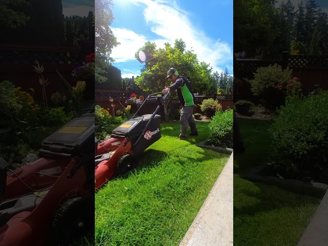 Exmark commercial 21 V-Series 60 volt battery powered mower getting the job done!