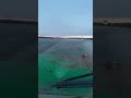 Штурмуем реку