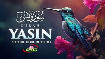 Surah Yaseen سورة يس | Ultimate Majestic Quran for Deep Sleep & Heart-Touching Calm |#surahyaseen