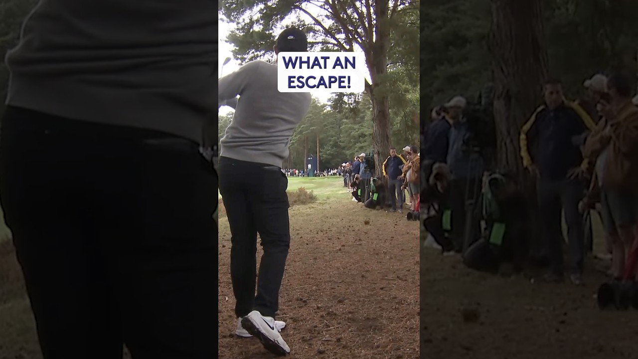 Rory ESCAPES from the trees 🌳