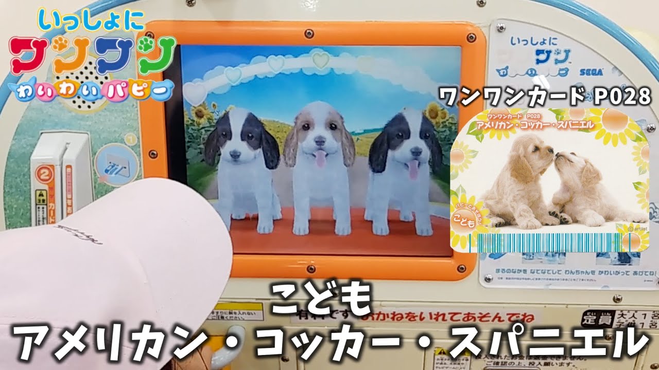 いっしょにワンワン わいわいパピー】SEGA こども アメリカン
