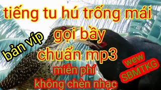 Tiếng tu hú trống mái( Săn Bắt Miền Tây KG).
