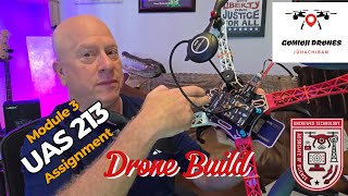 SDI UAS 213 Module 3 Assignment