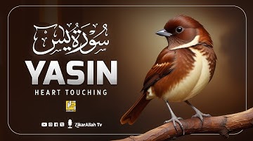 Surah Yasin (Yaseen) سورة يس | This Luminous Quran Will Touch Your Heart إن شاء الله | ZikarAllah TV