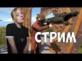 Стрим для ранних пташек в RUST / РАСТ #rust #раст #solo