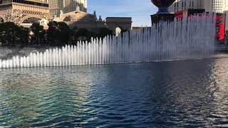 IMG 1446