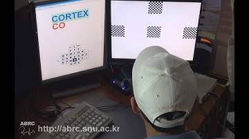 Brain-Computer Interface using Capacitive Measurement of SSVEP
