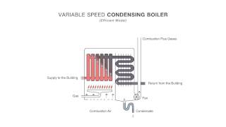 How an Efficient Condensing Boiler Works