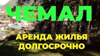 Алтай. Чемал. Аренда жилья ДОЛГОСРОЧНО 89130939401 WhatsApp