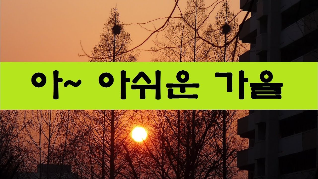 여기 저기 거기를 다니며 담은 가을 하모니카 연주와 함께 - YouTube