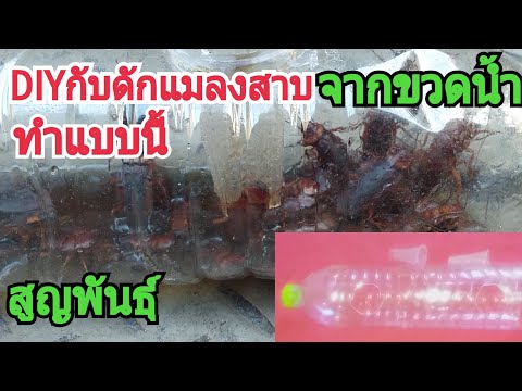 วีดีโอ: กับดักแมลงสาบ DIY: จากกระป๋องไฟฟ้ากาวและอื่น ๆ + รูปถ่ายและวิดีโอ