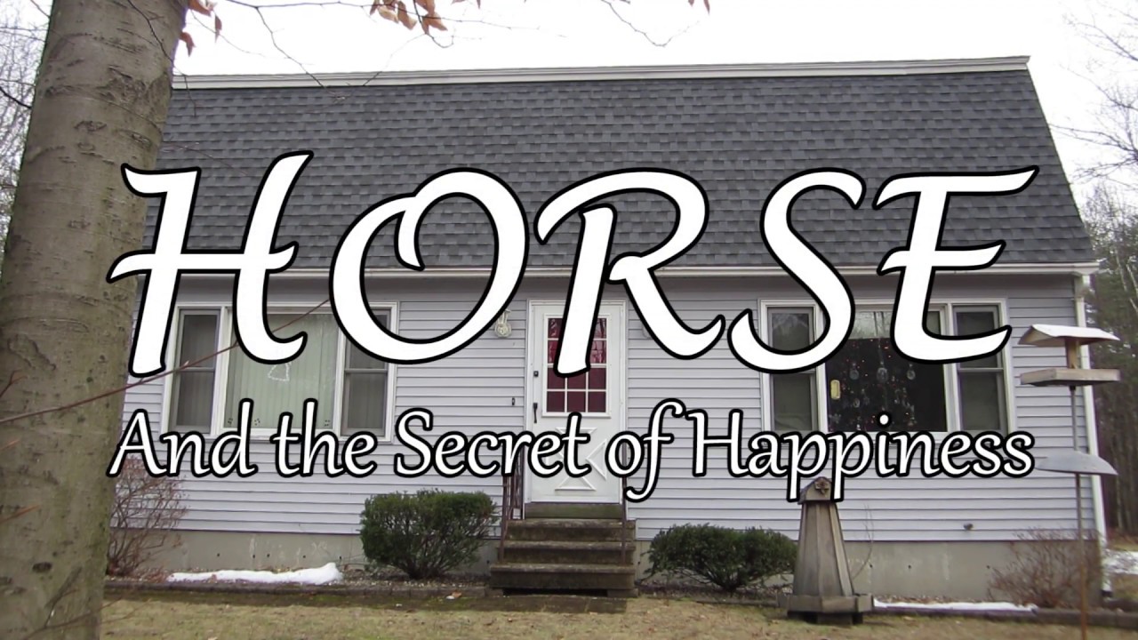 Horse and the Secret of Happiness (2018)