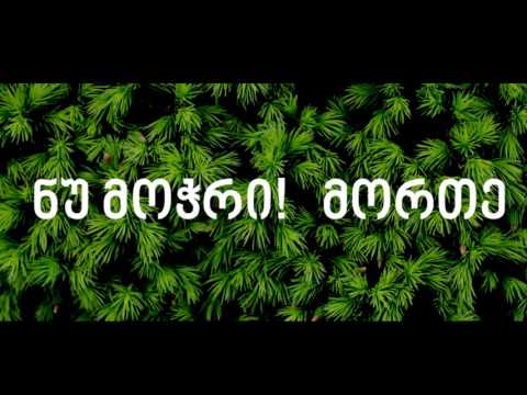 „ნუ მოჭრი - მორთე“ - ეკოვიქტორინა