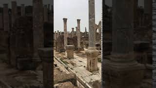 Searching4Sam • Leptis Magna, Libya