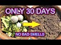 Make kitchen waste compost easily at home (English subtitles )