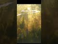 Poems by Tina Lezhava.                    МАМИНЫ РУКИ
