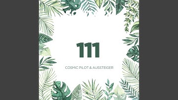 111