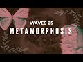 Sdz waves 25  metamorphosis