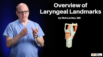 Overzicht van laryngeale oriëntatiepunten | Het verloop van de luchtwegen en longen