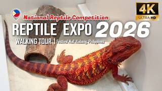 Reptile Expo Philippines 2026 | National Reptile Competition Walking Tour [4K]