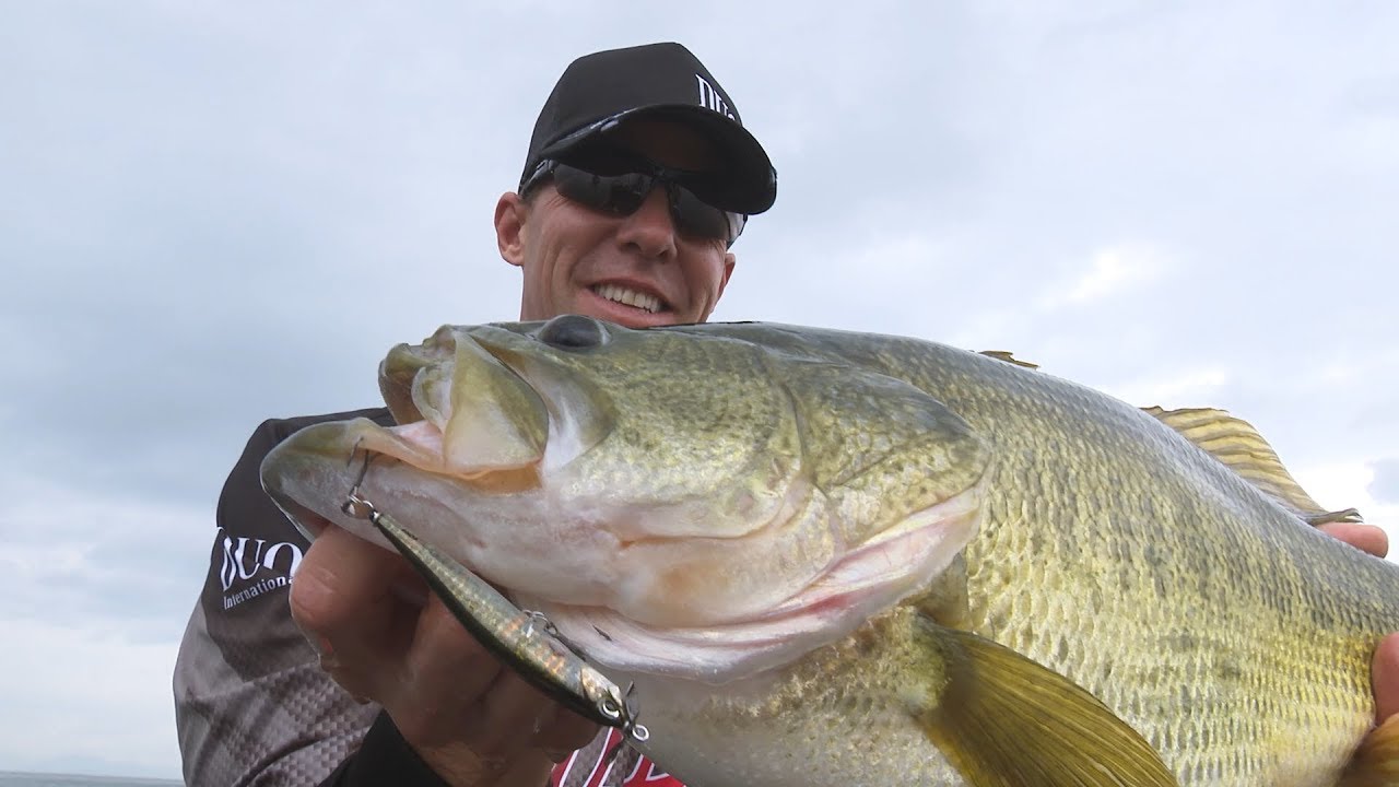 Spybaiting with Aaron Martens