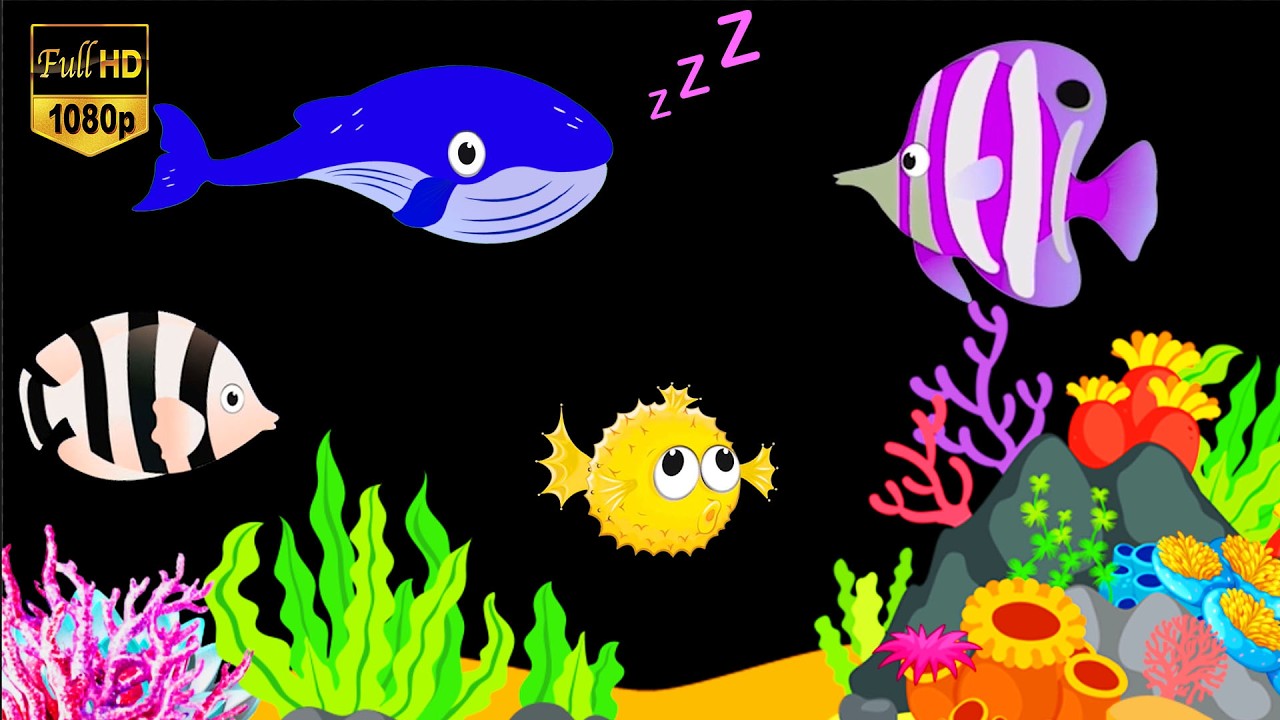 5 Hours Baby Bedtime Music  Fall Asleep Fast in 3 Minutes  Mozart Brahms Lullaby Collection|