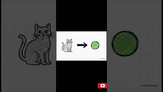 Bias vs Variance in 60 Seconds 🔥 | Overfitting vs Underfitting Explained #Shorts