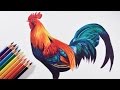 How to draw a colorful bird (Rooster) - Faber castell polychromos pencils.