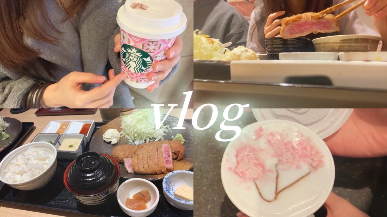 【vlog】外食続きの休日🐄🍖肌荒れと腸内環境を自炊で整える🫧簡単リセット飯,スタバ新作,鶏胸ポッサム🐓🥬