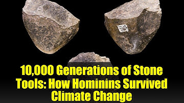 10,000 Generations of Stone Tools: How Hominins Survived Climate Change