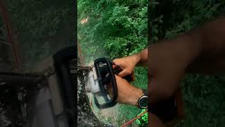 Lets climb that tree #arborist #ropeaccess #climbing