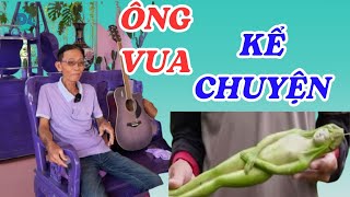 Ông vua yêu màu tím nói về loại cây mọc ra trái hình người. Thực hư ra sao ?  ĐỘC LẠ BÌNH DƯƠNG