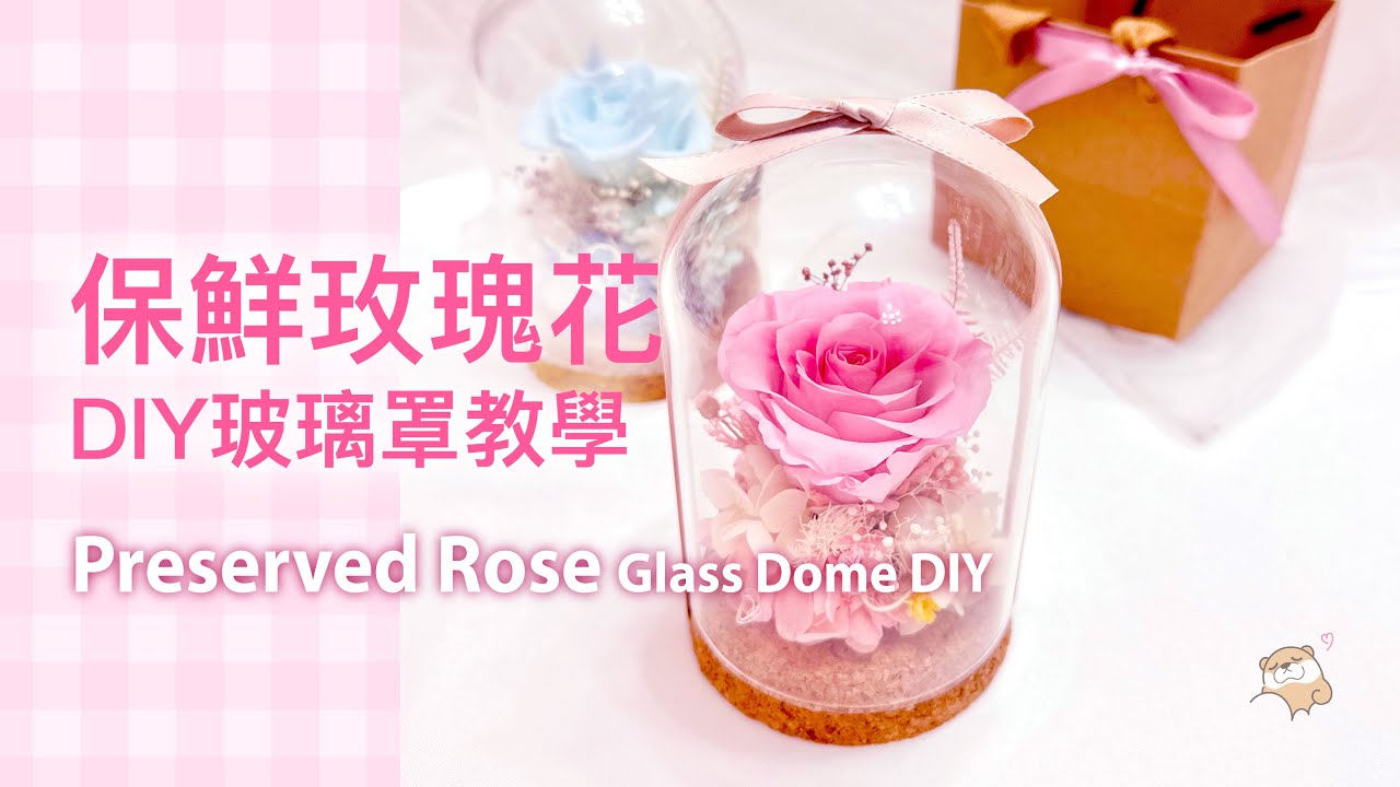 Sarina's Flower 11  - 保鮮玫瑰花玻璃罩DIY教學 ～ 將時間定格的永生玫瑰花 Preserved Rose Glass Dome DIY - Timeless beauty
