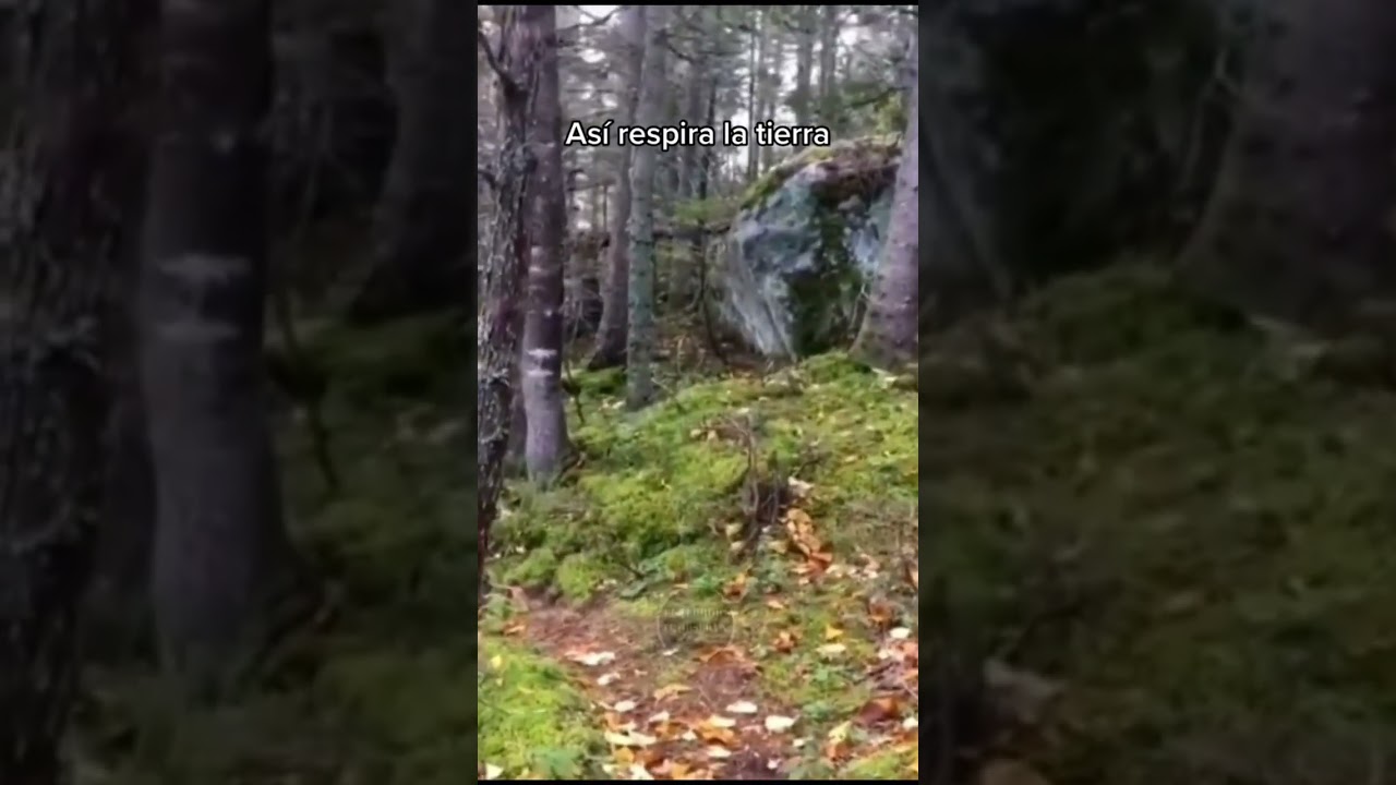 Así respira la tierra 🌎 