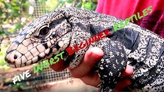 The Top 5 Worst Beginner Reptiles