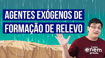 O que são fenômenos endógenos e exógenos?