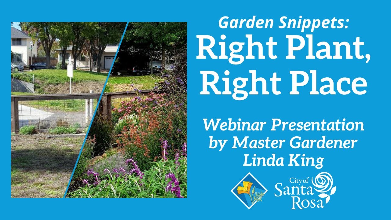 Garden Snippets Webinar: Right Plant, Right Place (English)
