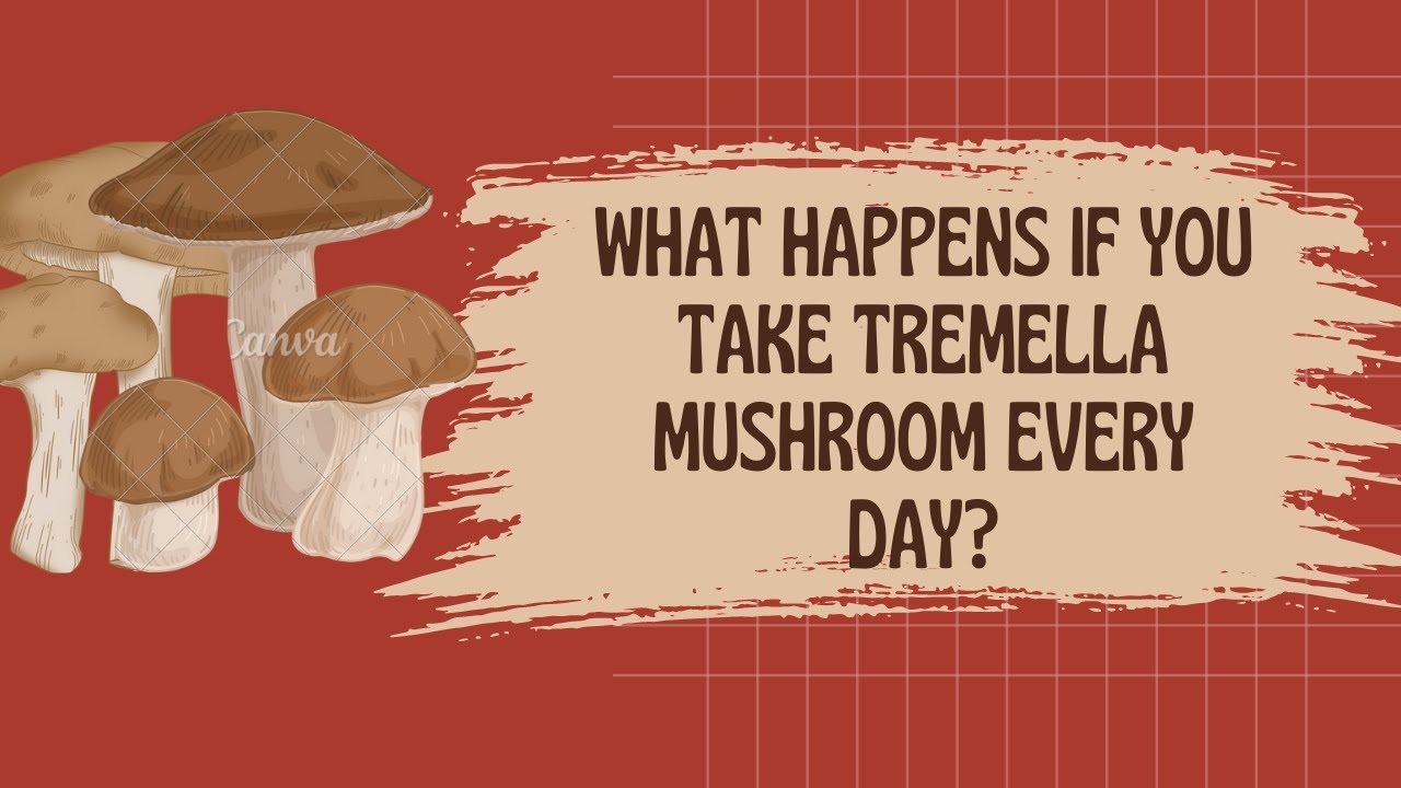 What Happens If You Take Tremella Mushroom every day?