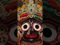 #youtubeshorts #shortvideo #short #jagannath #bhaktivibes #bhakti #harekrishna #video #virlshort