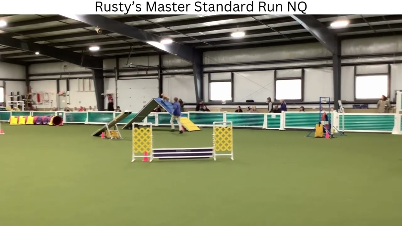 2026 3 1 Rusty runs agility