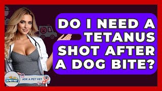 Do I Need A Tet Shot After A Dog Bite? - Ask A Pet Vet