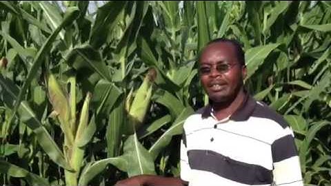 Benefits of soil testing