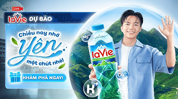 TIẾP CHÚT YÊN TÍCH CỰC, TÁI TẠO TÂM TRÍ VÀ CƠ THỂ NHA SÀI GÒN ƠI!