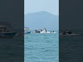 Humpback Whales Nearly Engulf Fishing Boat! Bubble Net Feeding! #humpbackwhale #juneau #alaska