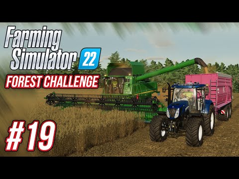 POŘÁDNÁ SKLIZEŇ OBILÍ! | Farming Simulator 22 Forest Challenge #19