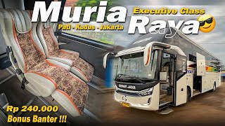 HARGA TIKET CUMA RP 240.000 bonus Banter‼️| Cobain bus pendatang baru Sinar Jaya Pati - Jakarta